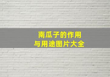 南瓜子的作用与用途图片大全