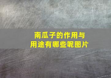 南瓜子的作用与用途有哪些呢图片