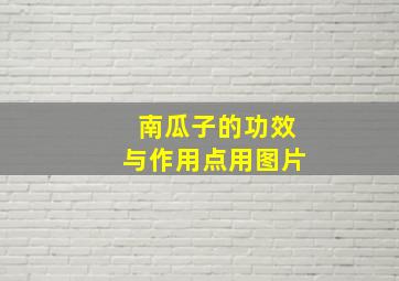 南瓜子的功效与作用点用图片