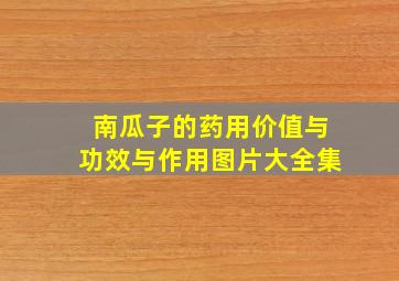 南瓜子的药用价值与功效与作用图片大全集