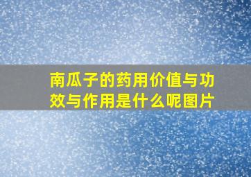 南瓜子的药用价值与功效与作用是什么呢图片