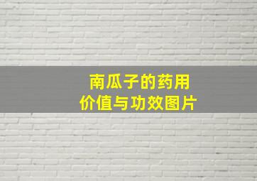 南瓜子的药用价值与功效图片