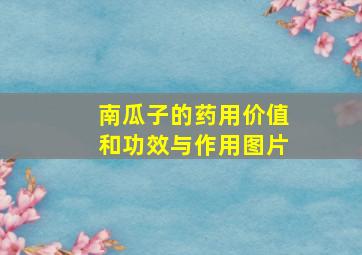 南瓜子的药用价值和功效与作用图片