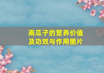 南瓜子的营养价值及功效与作用图片