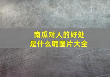 南瓜对人的好处是什么呢图片大全