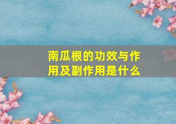 南瓜根的功效与作用及副作用是什么