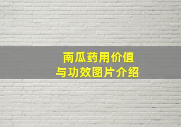 南瓜药用价值与功效图片介绍