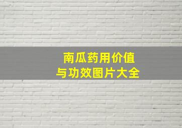 南瓜药用价值与功效图片大全