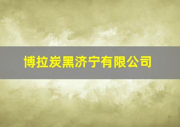 博拉炭黑济宁有限公司