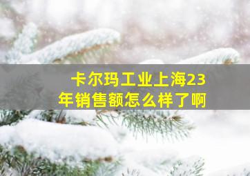 卡尔玛工业上海23年销售额怎么样了啊