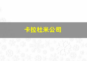 卡拉杜米公司