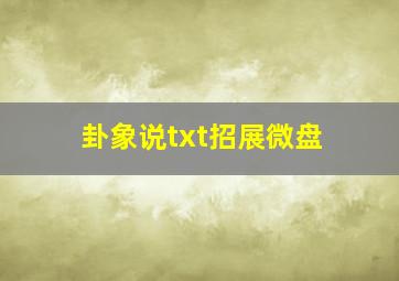 卦象说txt招展微盘