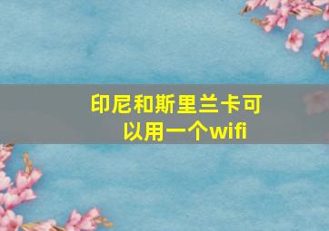 印尼和斯里兰卡可以用一个wifi