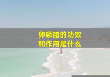 卵磷脂的功效和作用是什么