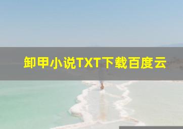 卸甲小说TXT下载百度云