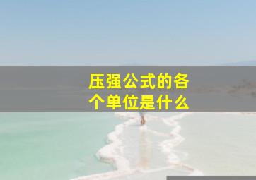 压强公式的各个单位是什么