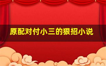 原配对付小三的狠招小说