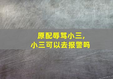 原配辱骂小三,小三可以去报警吗