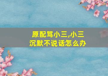 原配骂小三,小三沉默不说话怎么办