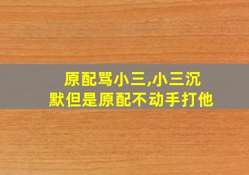 原配骂小三,小三沉默但是原配不动手打他