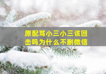 原配骂小三小三该回击吗为什么不删微信