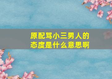 原配骂小三男人的态度是什么意思啊