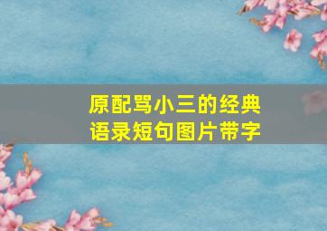 原配骂小三的经典语录短句图片带字