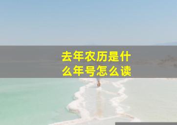 去年农历是什么年号怎么读