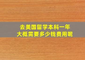 去美国留学本科一年大概需要多少钱费用呢