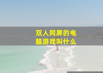 双人同屏的电脑游戏叫什么