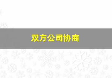 双方公司协商