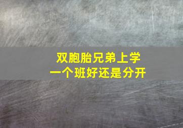 双胞胎兄弟上学一个班好还是分开