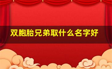 双胞胎兄弟取什么名字好