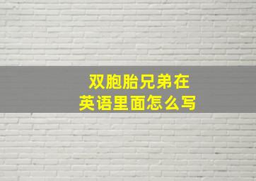 双胞胎兄弟在英语里面怎么写