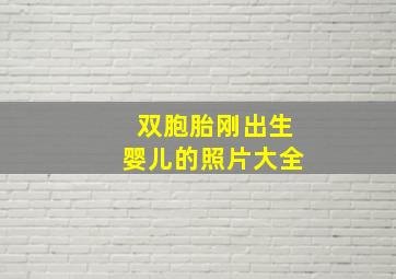 双胞胎刚出生婴儿的照片大全