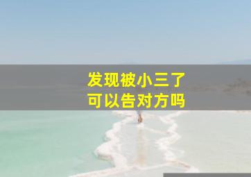 发现被小三了可以告对方吗