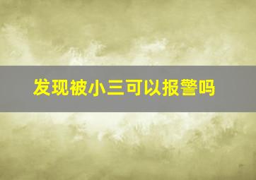 发现被小三可以报警吗