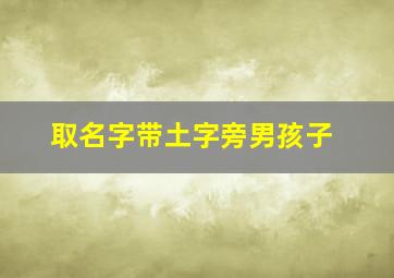 取名字带土字旁男孩子