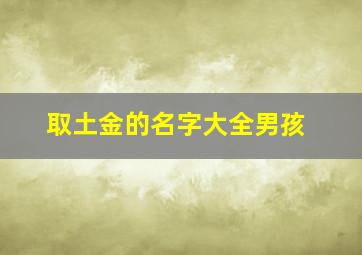 取土金的名字大全男孩