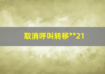 取消呼叫转移**21