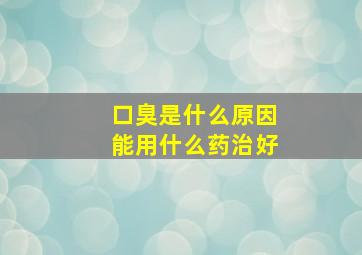 口臭是什么原因能用什么药治好