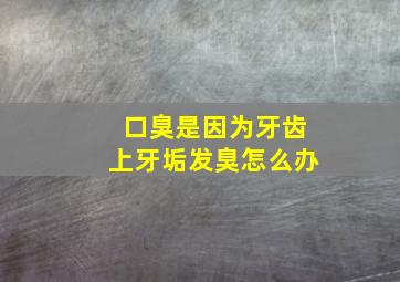 口臭是因为牙齿上牙垢发臭怎么办