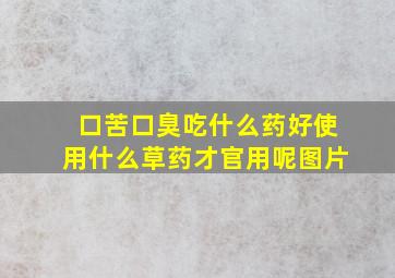 口苦口臭吃什么药好使用什么草药才官用呢图片