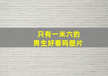 只有一米六的男生好看吗图片