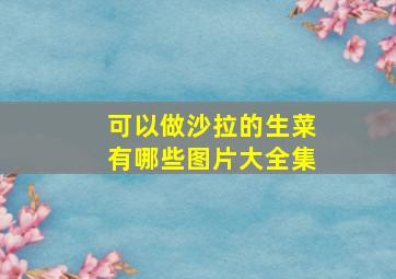 可以做沙拉的生菜有哪些图片大全集