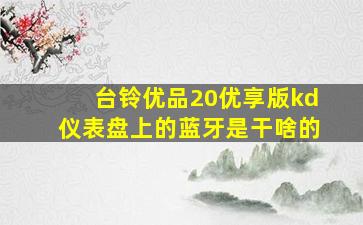 台铃优品20优享版kd仪表盘上的蓝牙是干啥的