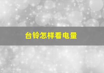 台铃怎样看电量