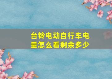 台铃电动自行车电量怎么看剩余多少