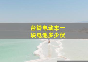 台铃电动车一块电池多少伏