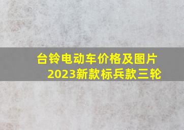 台铃电动车价格及图片2023新款标兵款三轮